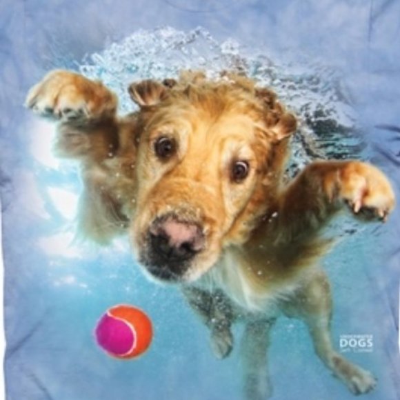 Underwater Frisco Kids' T-Shirt Size: L - Picture 1 of 2